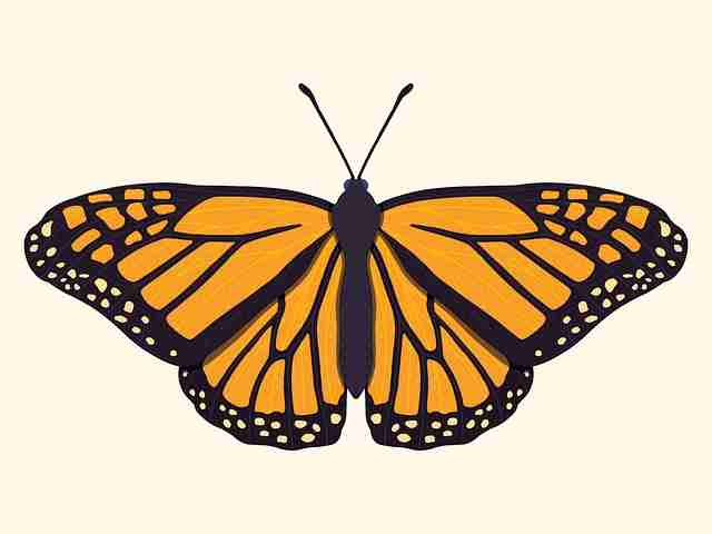 【海角社区官网】飓风级情感共振透视 - 彩蛋别错过,海角平台