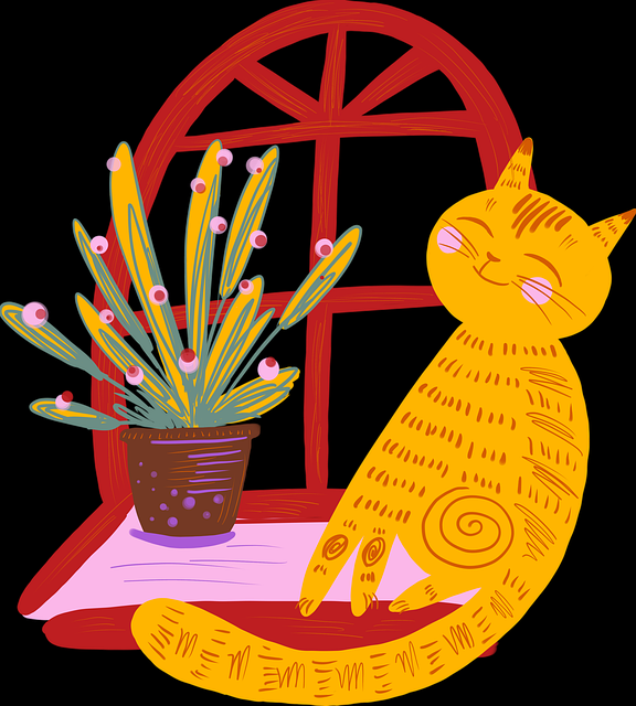 零距离复盘!每日大赛在线免费观看节目策划（速来围观），每日pk