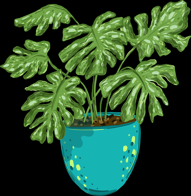 黑料社官网疯传主持人录音泄露终极真相核心图集升级版