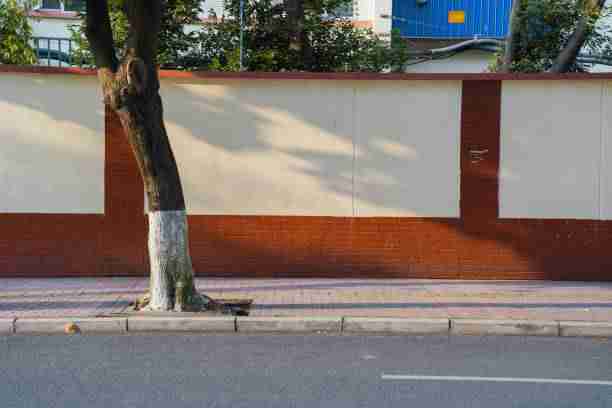 潮汐·海角社区app下载·深扒审美风向:多维剖析